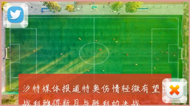 沙特媒体报道特奥伤情轻微有望出战利雅得新月与胜利的决战
